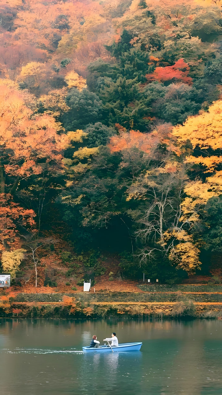 古装剧